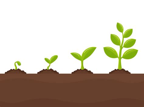 Tree Growth Planting Trees That Sprout From Seeds 680312 Vector Art At
