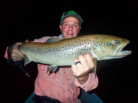 Trout Fishing At Night Night Fishing For Sea Trout David Miller Fish