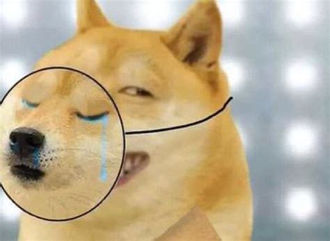 Doge Fake Crying Blank Template Imgflip