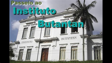 Instituto butantan is a public institution affiliated with the são paulo state secretariat of health and considered one of the major scientific centers in the world. Passeio ao Instituto Butantan - YouTube