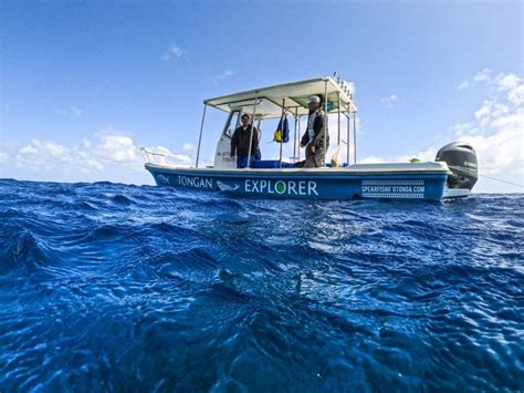 The Ultimate Guide To Fishing In Tonga 🎣 Tonga Pocket Guide
