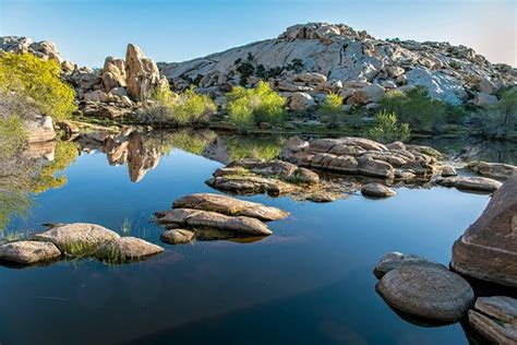 Barker Dam Trail Joshua Tree National Park 2021 What To Know Before