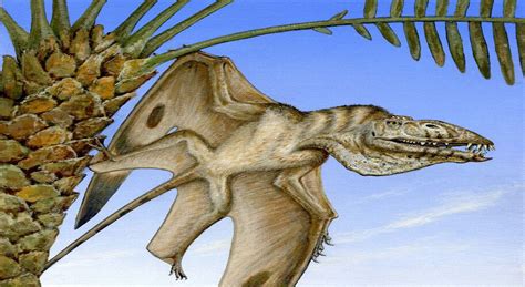 Scientists Discover Previously Unknown Species Of Giant Pterosaur With