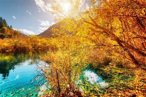 Amazing Pond With Azure Crystal Clear Water Among Autumn Woods Stock