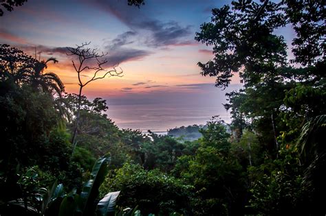 Guide To Osa Peninsula Costa Rica Costa Rica Honeymoon Costa Rica