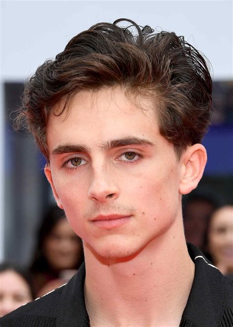 Curly Hair Timothee Chalamet Haircut How To Get Timothee Chalamet S