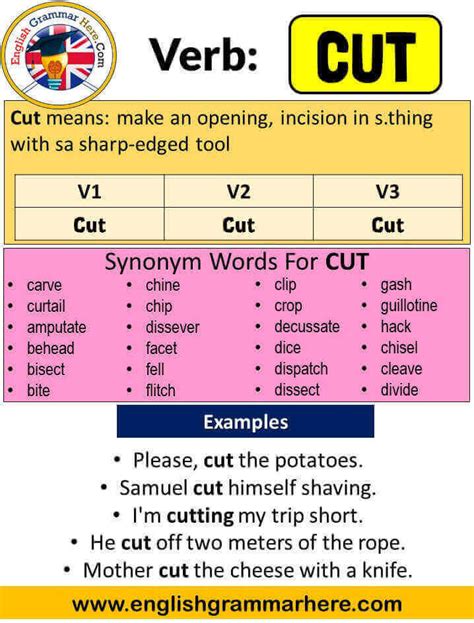 Cut Past Simple Simple Past Tense Of Cut Past Participle V1 V2 V3 Form Of Cut English