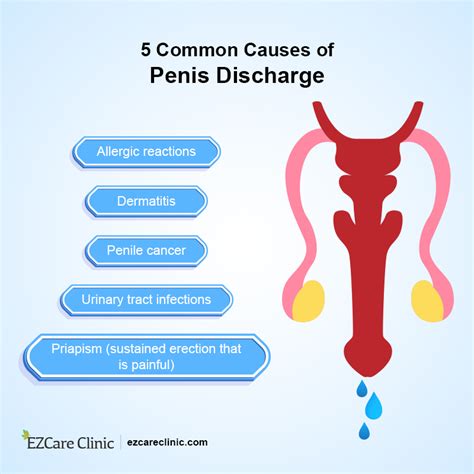 Penile Discharge Check Your Symptoms Signs And More