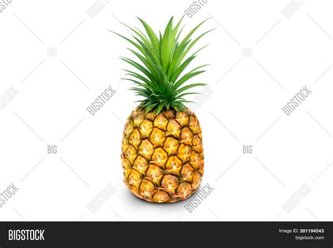 Single Whole Pineapple Image And Photo Free Trial Bigstock