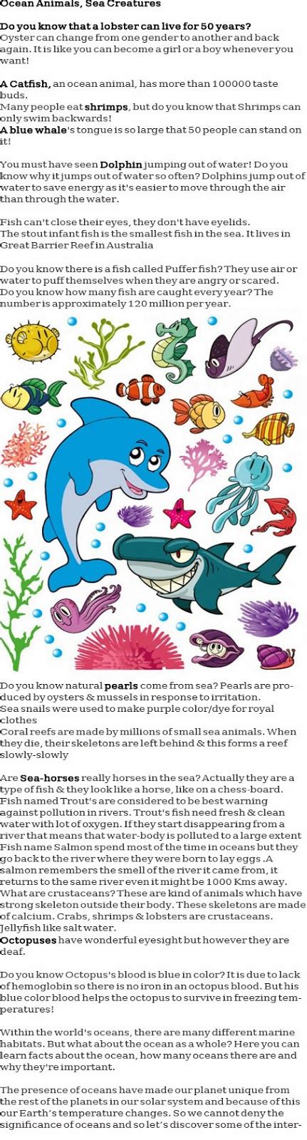 Ocean Animals For Kids Childhood Education