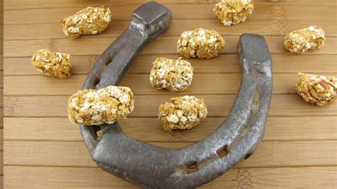 Diy Horse Treats Easy Nutritious And Horse Approved
