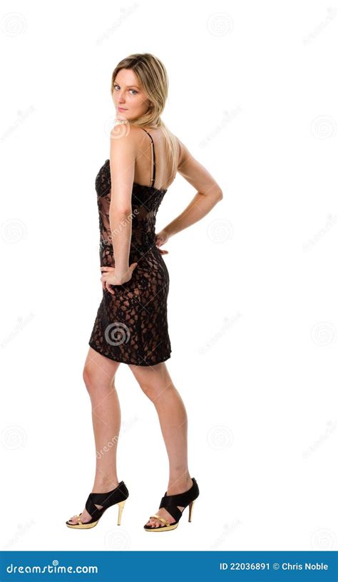 Woman In A Little Black Dress Stock Image Image Of Heels Shot 22036891