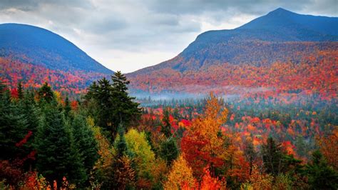 Autumn Foliage Fall In White Mountains National Forest New Hampshire Usa Windows 10