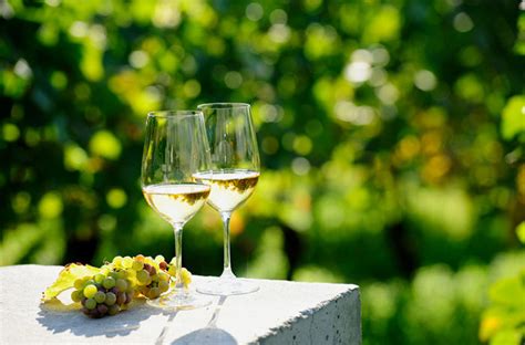 50 Italian White Wines For Summer