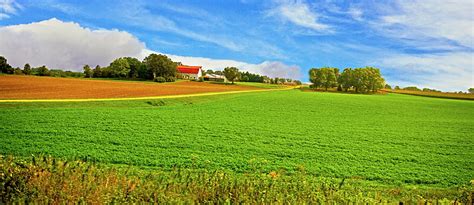 Free Download Green Flower Field Under Blue And Cloudy Sky During