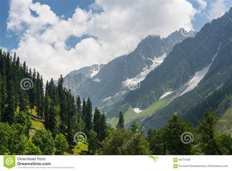 Beautiful Landscape Of Sonamarg In Summer Srinagar Jammu Kashmir