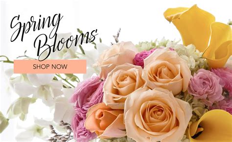 Flowers in costa mesa are always very fresh, and we will try to do possible so that your recipient was presented with a bouquet of the freshest and most beautiful flowers. Costa Mesa Florist | Flower Delivery by Flower-Synergy
