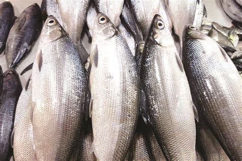 Ph Eyes China As Export Market For Milkfish