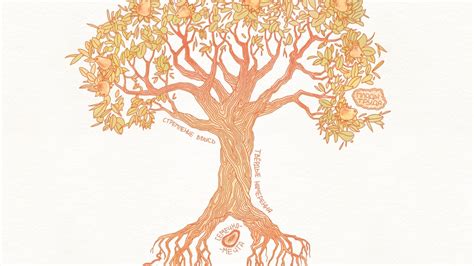 Tree Of Life Wallpapers And Images Wallpapers Pictures