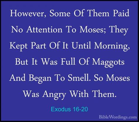 Exodus 16 Holy Bible English