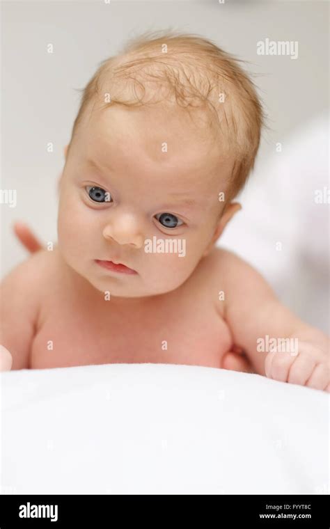 Two Months Old Baby Stock Photo Alamy