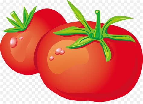 Bearbeite und wandle bilddateien online von deinem browser aus um. Gemüse Zakuski Tomate Obst - Cartoon-Tomaten png ...
