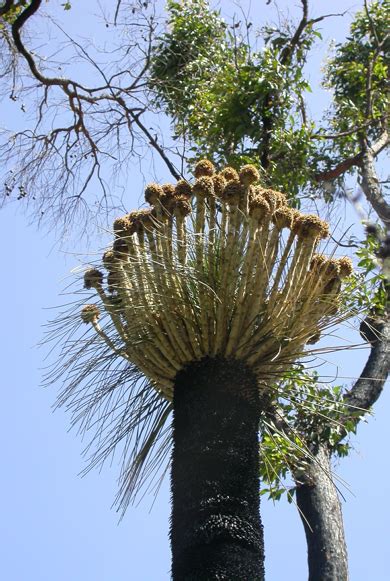 The Southwest Australian Biodiversity Hotspot As A Tourist Destination