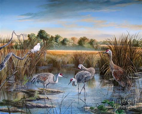 Florida Wetlands Painting Paynes Prairie Preserve State Park Day Of
