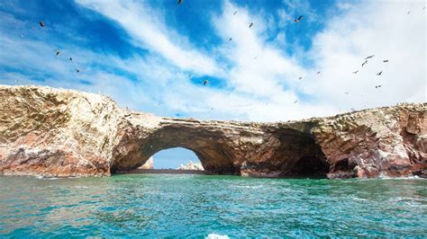 Ballestas Islands Paracas Book Tickets And Tours Getyourguide