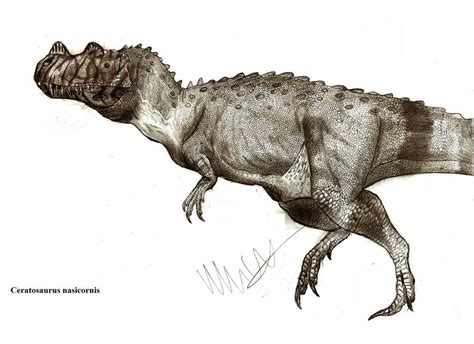 Ceratosaurus Dentisulcatus Pictorial Dinosaur Archives