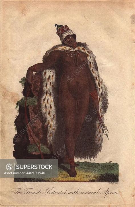 The Female Hottentot With Natural Apron A Khoisan Woman With