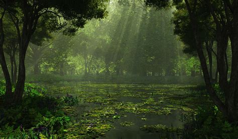 Cg Digital Art Lakes Swamp Landscapes Sunlight