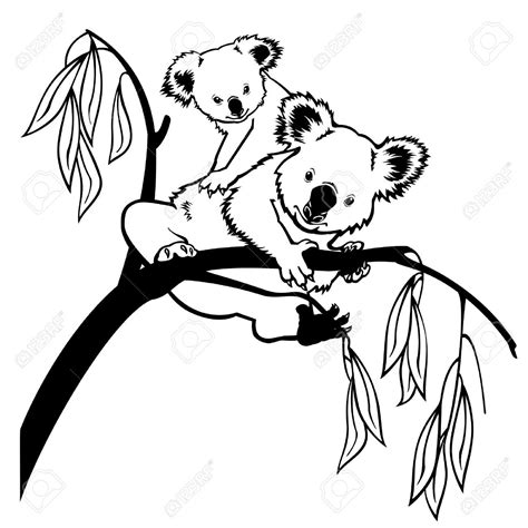 Koala Bear Koala Bear With Joey Climbing Eucalyptus Tree Black And