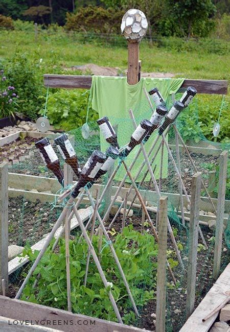 Effective Ways To Keep Birds Out Of The Vegetable Garden