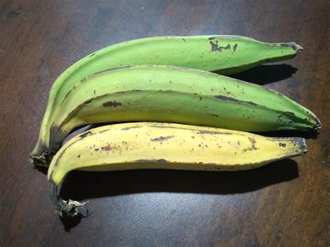 Viabilidade Do Cultivo Da Banana Da Terra Em São Paulo é Pesquisada
