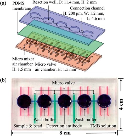 A Exploded View Of The Microfluidic Chip The Chips Are Made Up Of Download Scientific