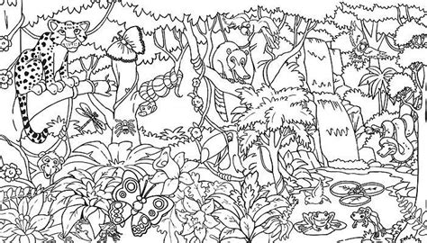 Rainforest Free Printable Jungle Coloring Pages Jungle Jungle