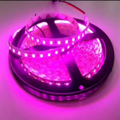 Jual Lampu Led Strip 3528 Smd 2835 Ip33 12v Indoor Ungupink Shopee