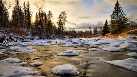 Download 1920x1080 Hd Wallpaper Forest Overcast Ice River