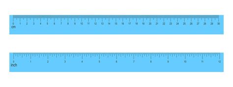 30 Centimeters And 12 Inches Blue Rulers Isolated On White Background