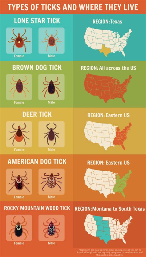 Heres What You Need To Know About Ticks Huffpost