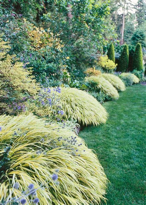 Best Ornamental Grasses For Midwest Gardens Perfect Plants Cool Plants