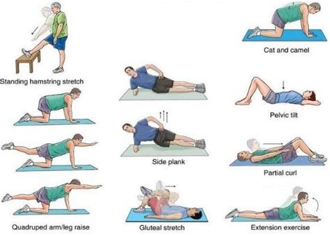 Slipped Disc Exercises Home Remedies Treatment At Home