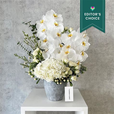 Orchids Arrangement Flowers Editor S Choice By 7 Garden Florist
