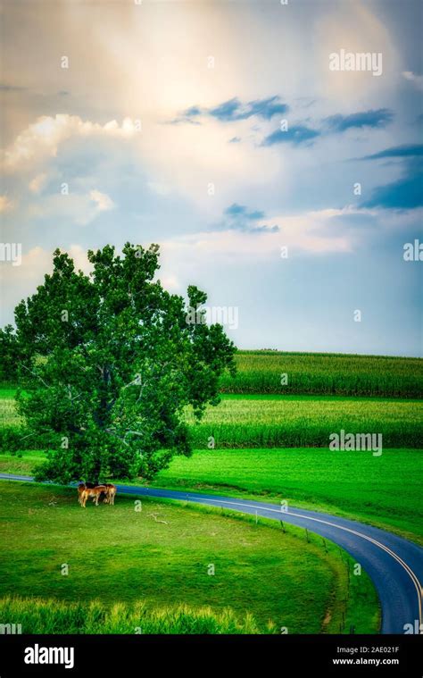 Bucolic Country Road Through Lancaster County Farm Land Stock Photo Alamy