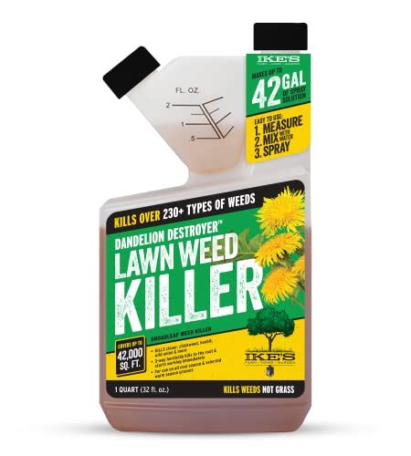 Whats The Best Dandelion Killer That Wont Kill Grass Recommended By An