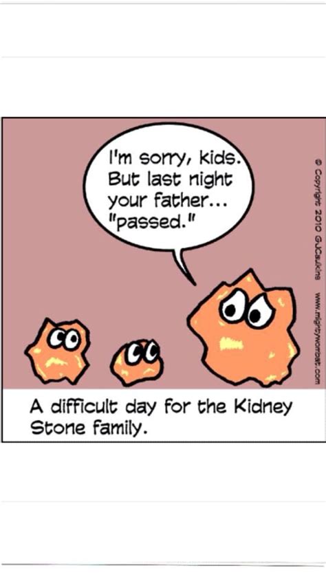 Kidney stones (also called renal calculi, nephrolithiasis or urolithiasis) are hard deposits made of minerals and salts that form inside your kidneys. Lol, a little humor for my not so humorous kidney stones ...