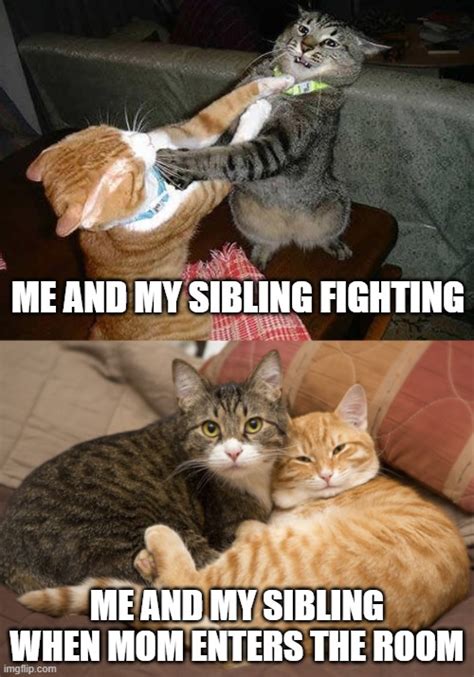 sibling meme imgflip