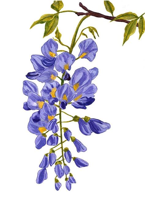 Purple Wisteria Painting Painting Flower Art Painting Flower