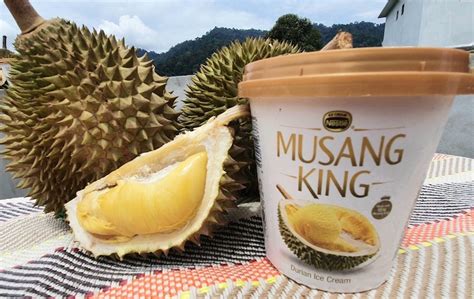 Pengenalankebanyakan negara didunia termasuk malaysia telah menerima kehadiran perserta baharu didalam pasaran antarabangsa iaitu syarikat. Fresh dari dusun durian tempatan, perkenalkan Nestlé ...